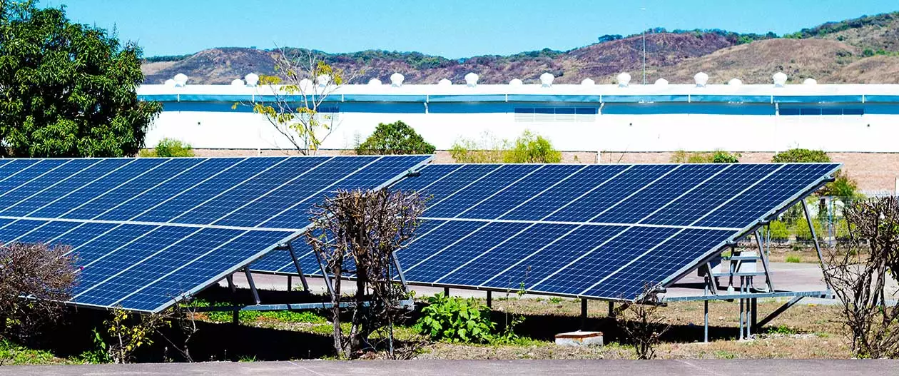 Loi Girardin et transition écologique