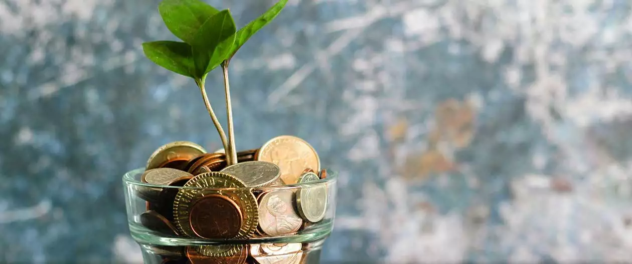 où vont vos investissements en Girardin ?