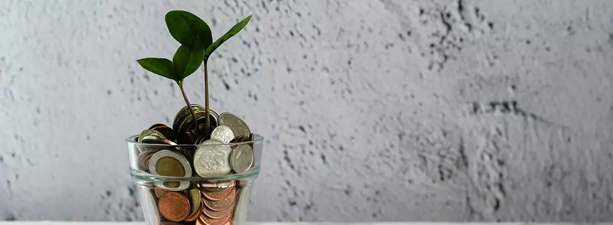 Faire fructifier son impôt grâce au Girardin Faire fructifier son impôt grâce au Girardin