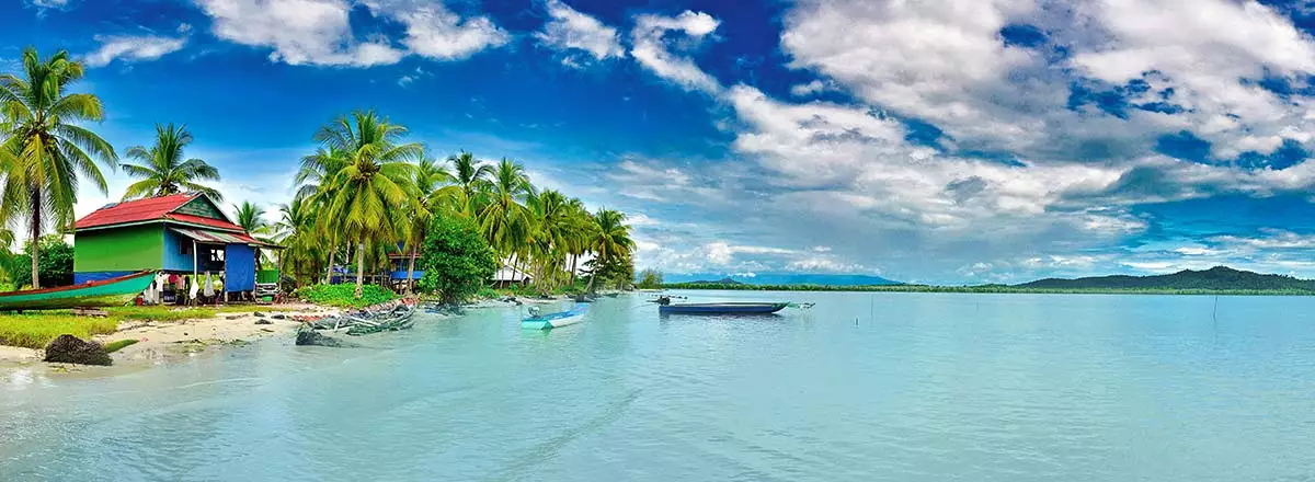 payer trop d’impôts