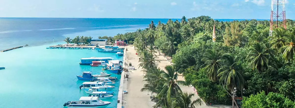 Réduction d'impôt ou crédit d'impôt