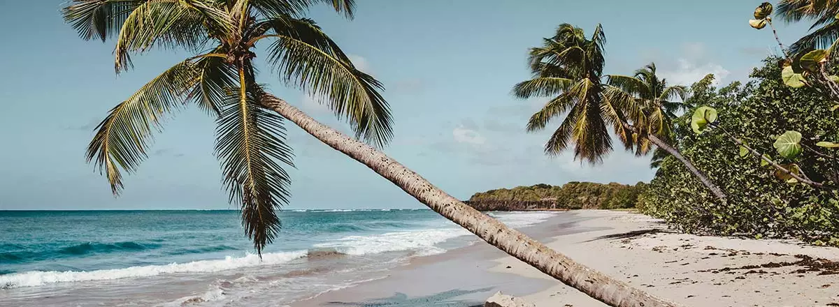 Comment réduire ses impôts en 2026