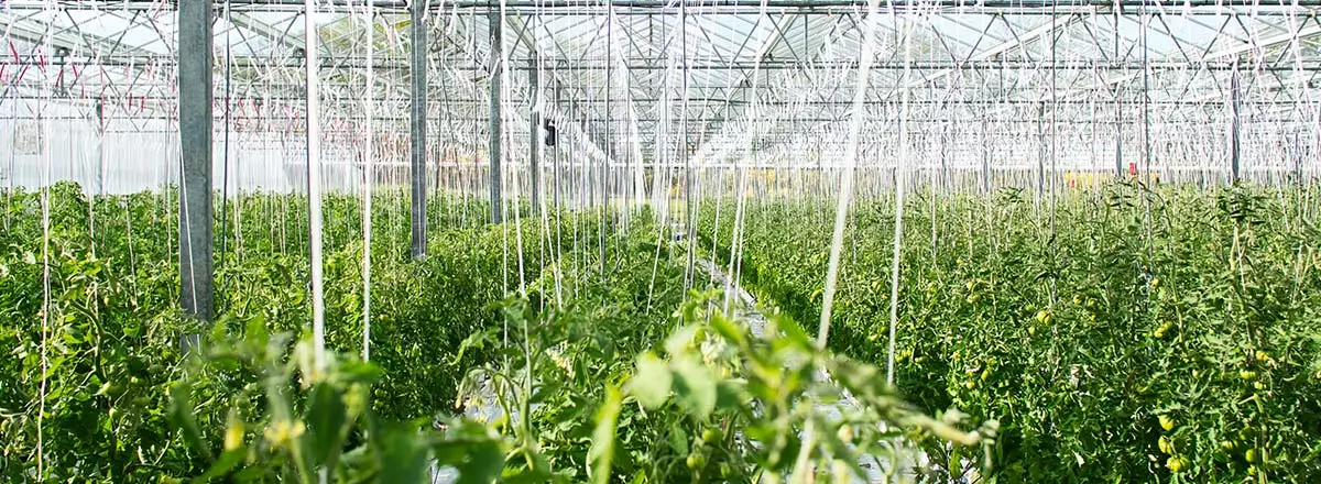 Girardin industriel impact environnemental